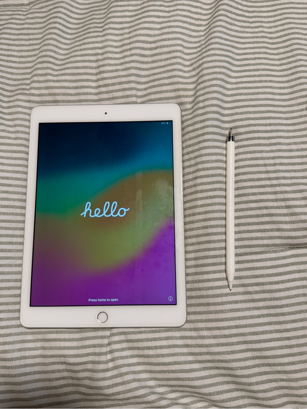 Apple iPad with White Smart Pencil - White